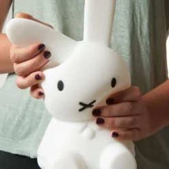 Mr maria lampe miffy & friends first l