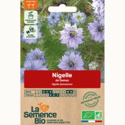 Nigelle de damas - graines bio