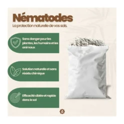 Nématodes sc - 50 m² - doryphore de la pomme de terre - 25m