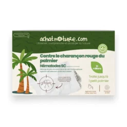 Nématodes sc - 1 palmier - charançon rouge palmier- 10m