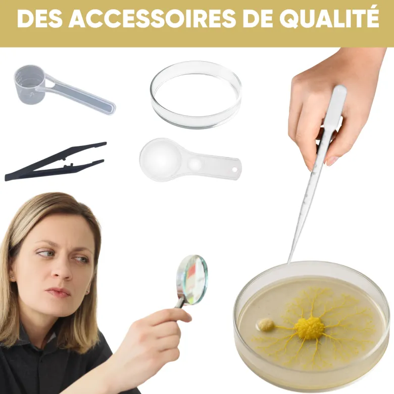 Nopalia® kit blob vivant – expérience scientifique complète – ton blob en 24h