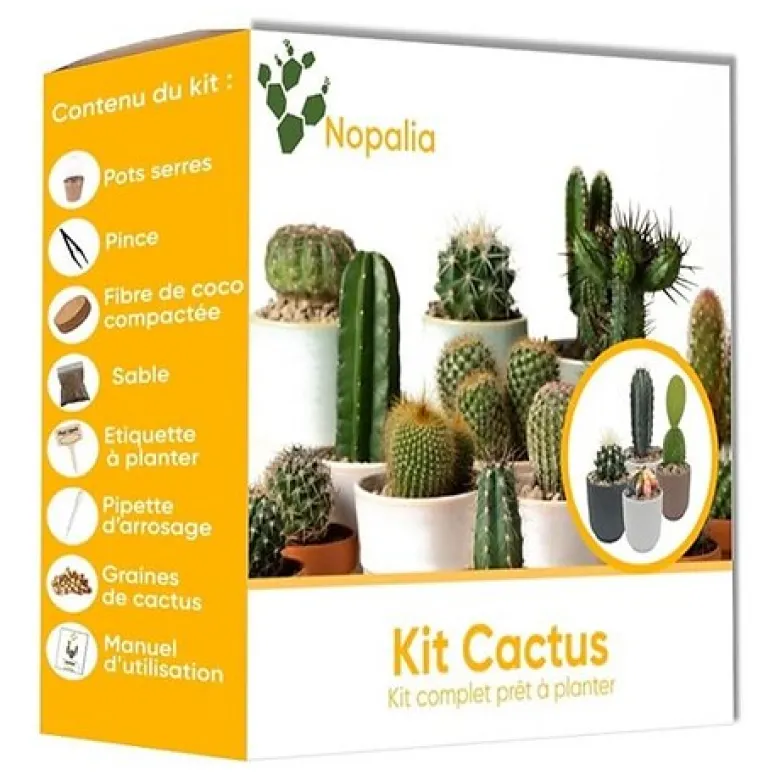 Nopalia® kit cactus prémium - mini kit à faire pousser