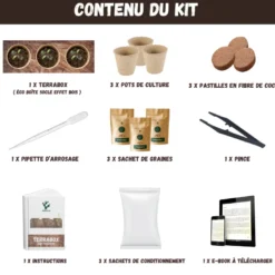 Nopalia® kit fleurs comestibles – graines bio coquelicot, mauve, bleuet