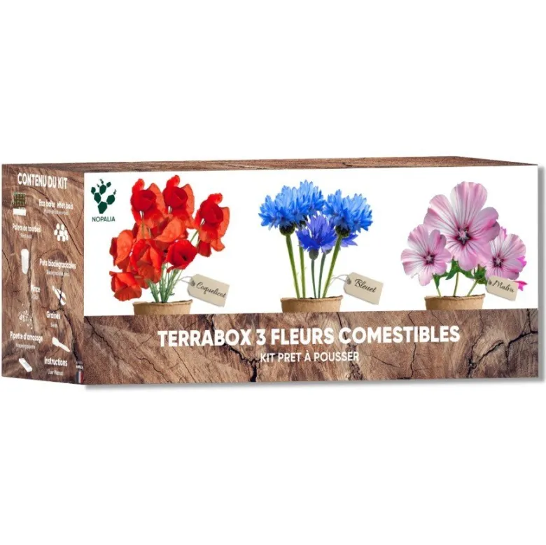 Nopalia® kit fleurs comestibles – graines bio coquelicot, mauve, bleuet