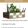 Nopalia® kit herbes aromatiques bio prêt à pousser - 5 variétés