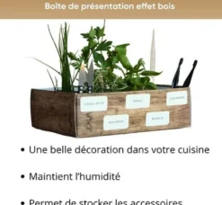 Nopalia® kit herbes aromatiques bio prêt à pousser - 5 variétés