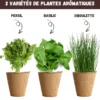 Nopalia® kit herbes aromatiques: basilic, persil, ciboulette, coriandre, romarin