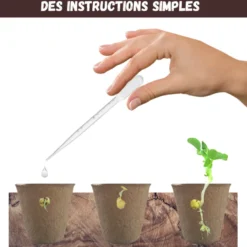 Nopalia® kit plantes grasses & aloe vera à faire pousser