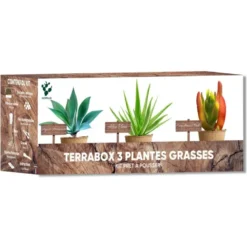 Nopalia® kit plantes grasses & aloe vera à faire pousser