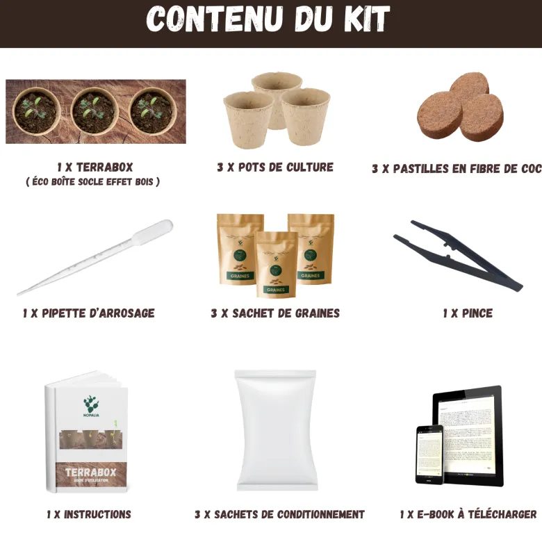 Nopalia® kit plantes grasses & aloe vera à faire pousser