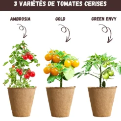 Nopalia® kit tomates cerises bio – mini potager intérieur - culture facile & diy