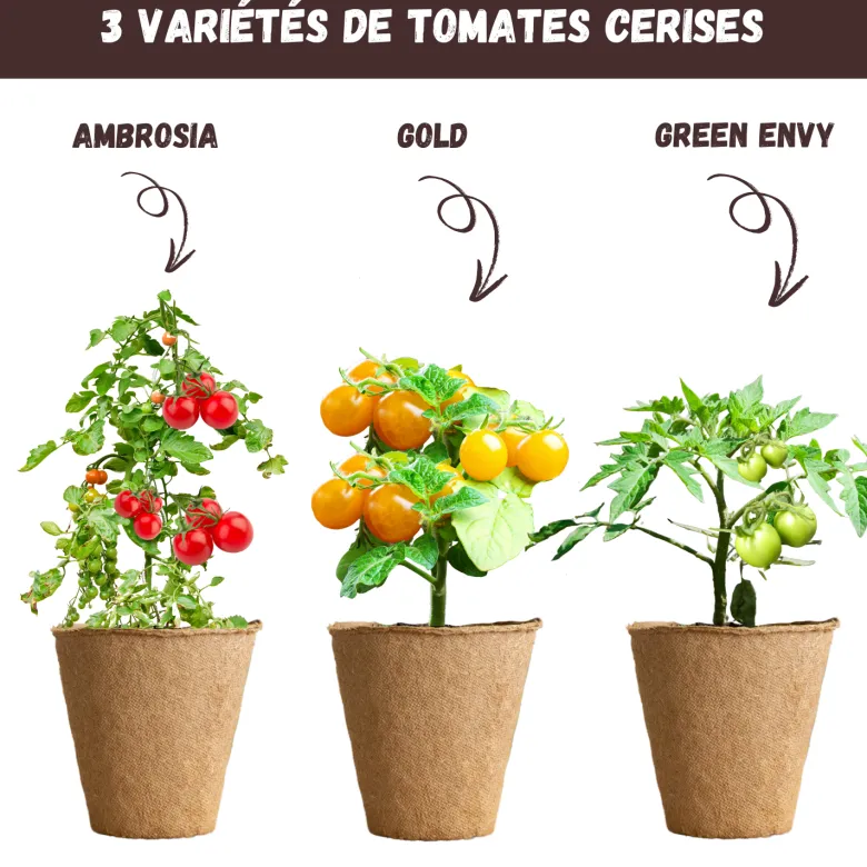 Nopalia® kit tomates cerises bio – mini potager intérieur - culture facile & diy