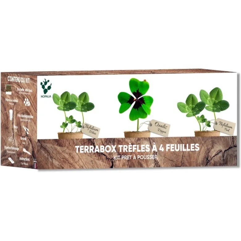 Nopalia® kit trèfle à 4 feuilles porte-bonheur