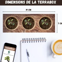Nopalia® kit trèfle à 4 feuilles porte-bonheur