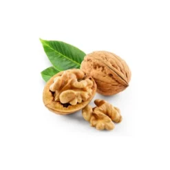 Noyer - macérat de bourgeons bio 15ml 15