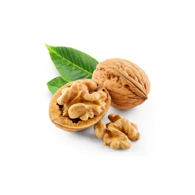 Noyer - macérat de bourgeons bio 15ml 15