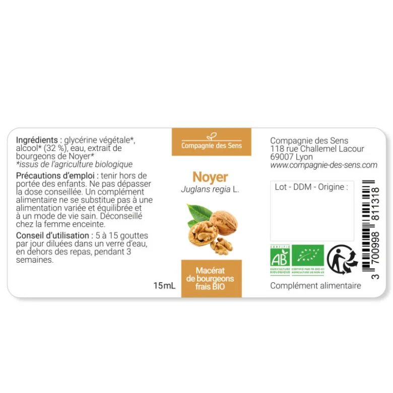 Noyer - macérat de bourgeons bio 15ml 15
