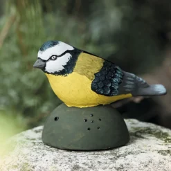 Oiseau chantant détecteur mouvement