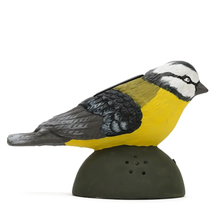 Oiseau chantant détecteur mouvement