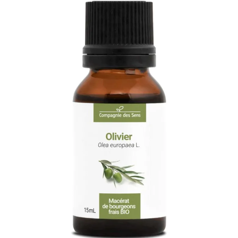 Olivier - macérat de bourgeons bio 15ml 15