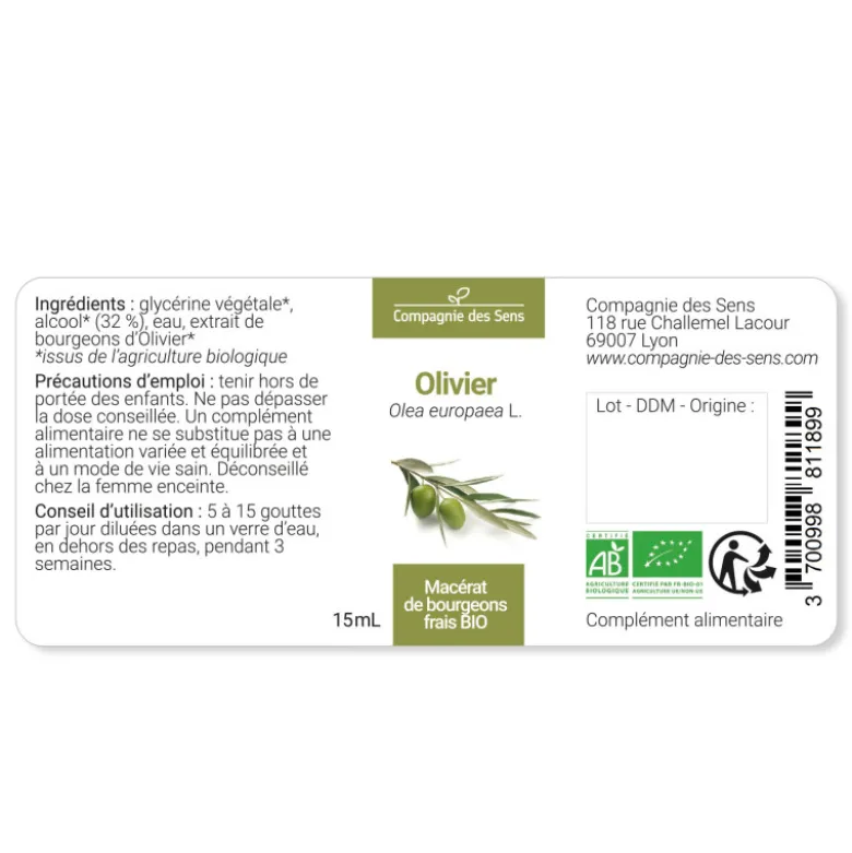 Olivier - macérat de bourgeons bio 15ml 15