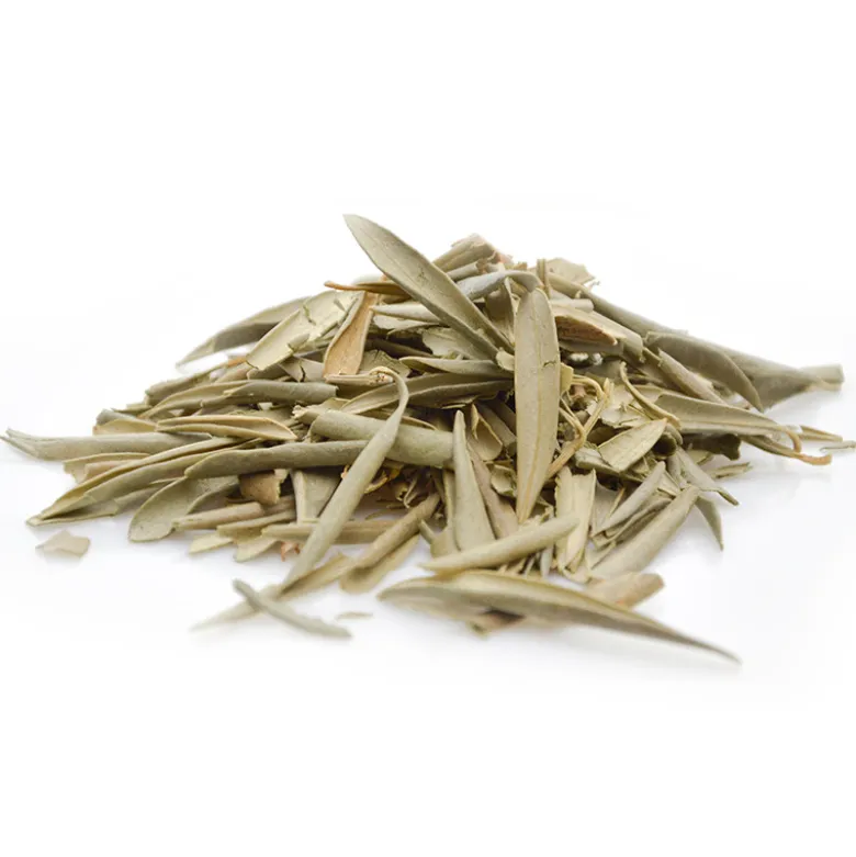 Olivier - tisane bio - 100g