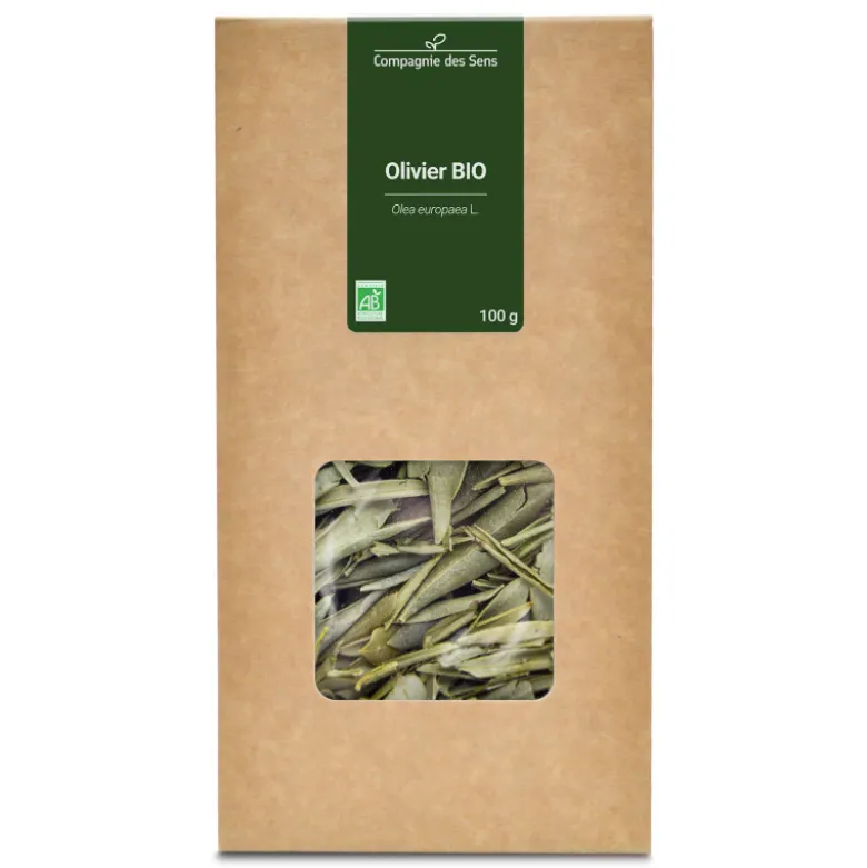 Olivier - tisane bio - 100g
