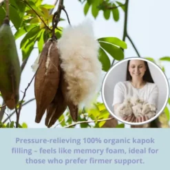 Oreiller de sommeil en kapok, housse coton respirante us standard blanc