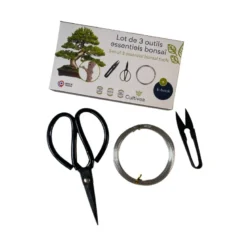 3 outils bonsai (ciseaux, fil aluminium)