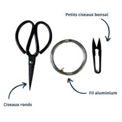 3 outils bonsai (ciseaux, fil aluminium)