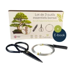 3 outils bonsai (ciseaux, fil aluminium)
