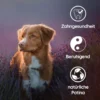 Pack chiot « bienvenue compagnon » - pour chiens à partir de 25 kg