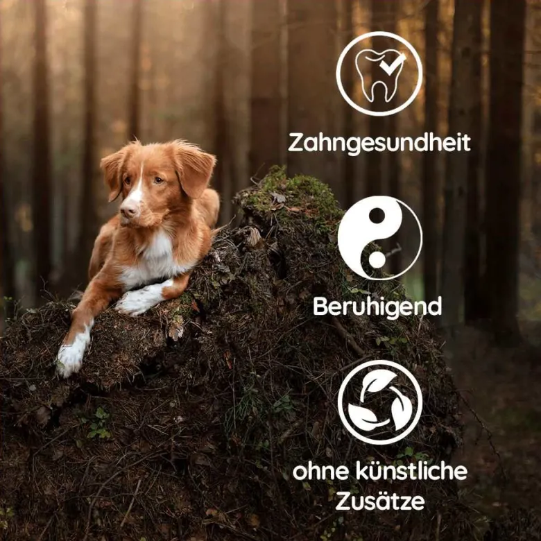 Pack chiot «bienvenue jeune compagnon» - chiens jusqu'à 10 kg