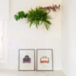 Pack de 3 pots muraux blancs