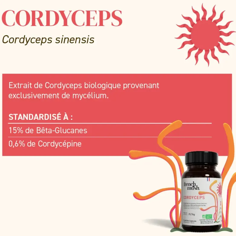 Pack french mush la cure complète pour énergie et bien-être gélules