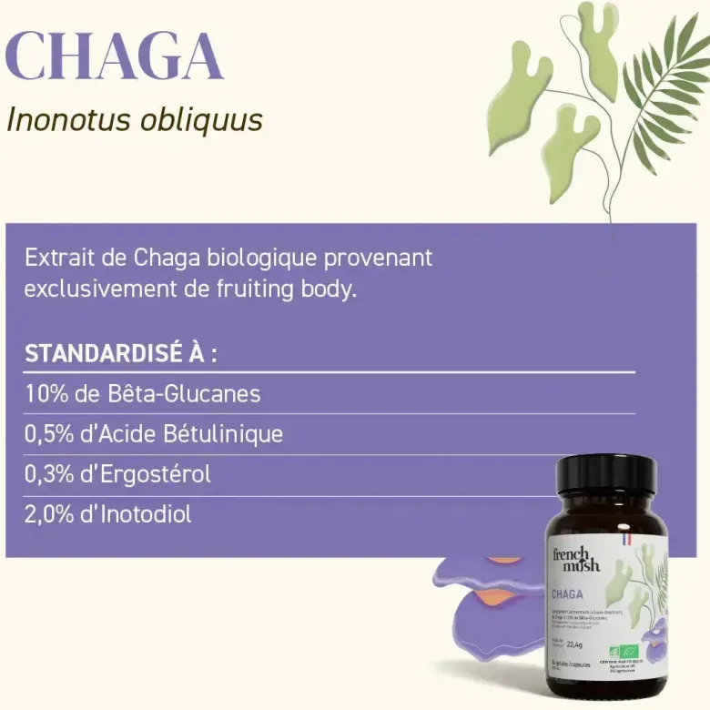 Pack french mush la cure complète pour énergie et bien-être gélules