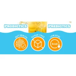 Pack mensuel kombucha lemon : 3 boites teazen tz-pkolmnx3