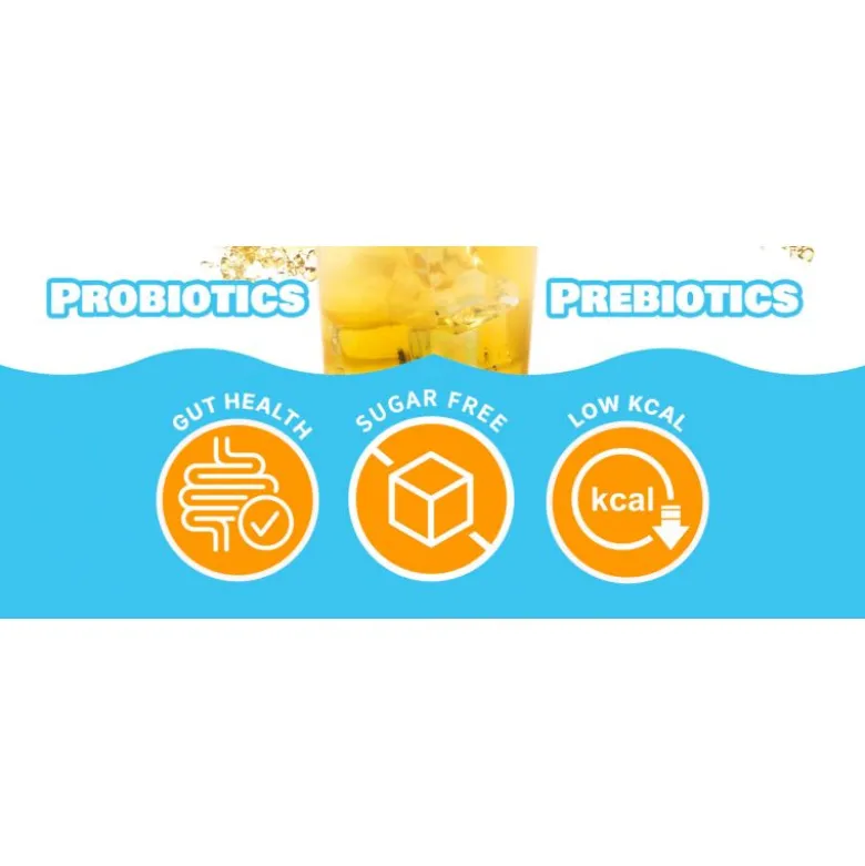 Pack mensuel kombucha lemon : 3 boites teazen tz-pkolmnx3