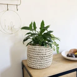 Panier cache-pot en palmier pour toutes vos plantes ou fleurs