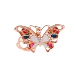 Papillon merveilleux en porte-cles