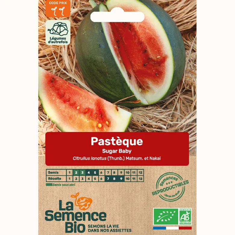 Pasteque sugar baby bio