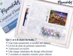 Peinture par numéro notre-dame etoilée