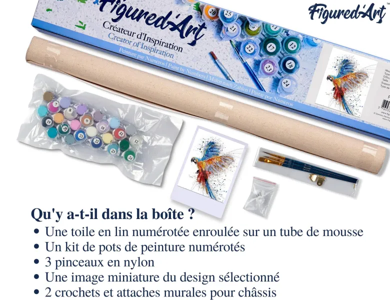 Peinture par numéro perroquet en plein .