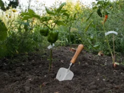 Pelle à transplanter à main