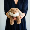 Peluche bouillotte lapin etoile warmies
