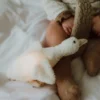 Peluche lumineuse liva l'oie