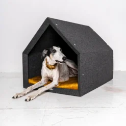 Pethome gris clair-jaune l