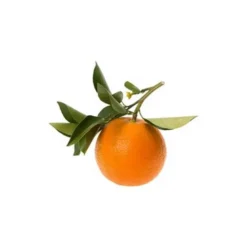 Petit grain bigarade - huile essentielle bio - 10ml garantie chromacert® - chémo