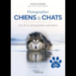 Photographier chiens et chats