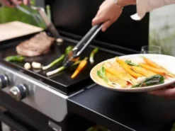 Plancha gaz original 260 duo sur chariot - le marquier